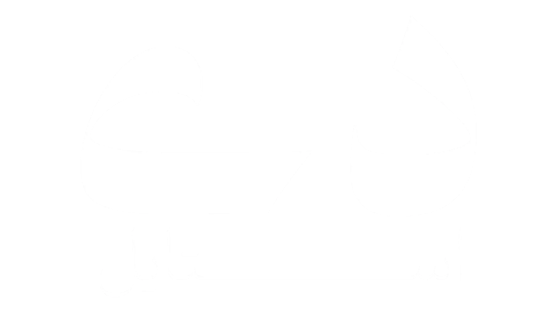دی استایل